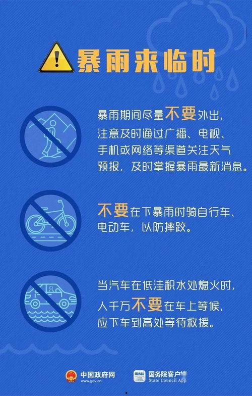 悉尼员工爆料案例最新,真实案例背后的惊人内幕